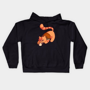 Baldurs Cat 3 - Minsc Kids Hoodie